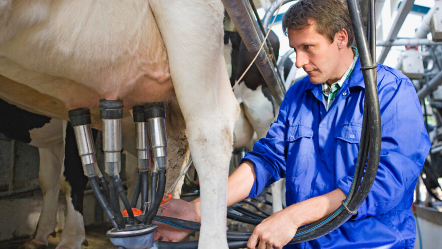 BiH odobren nastavak izvoza mlijeka i mliječnih proizvoda u EU