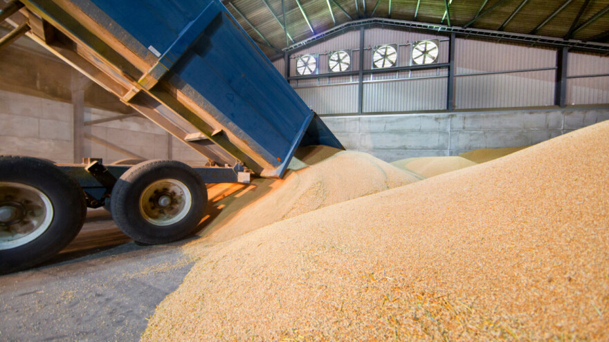 Sunovrat cijena: Trumpove carine izazvale kaos na tržištu žitarica i uljarica