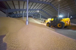 Cena jedne žitarice skočila za 4,2 odsto, a rast prometa čak 114%