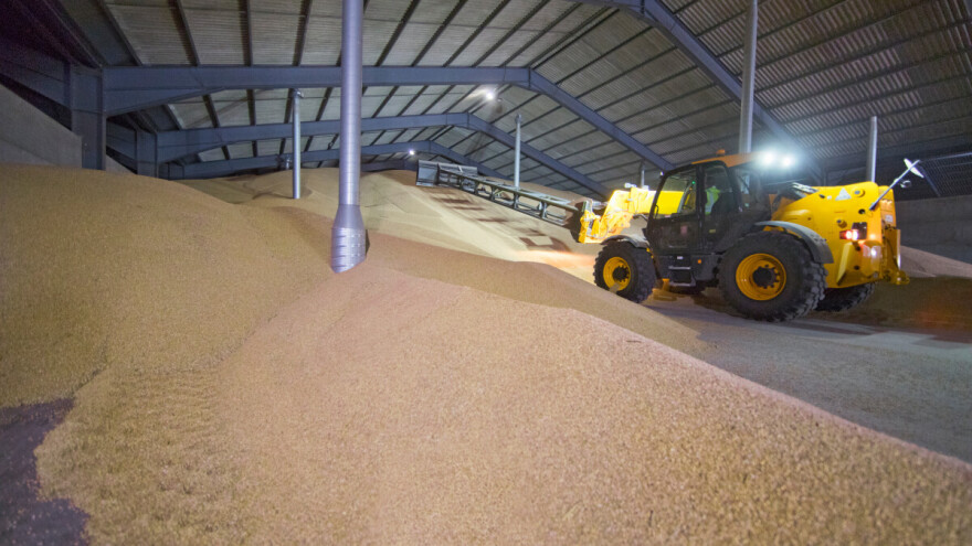 Cena jedne žitarice skočila za 4,2 odsto, a rast prometa čak 114%