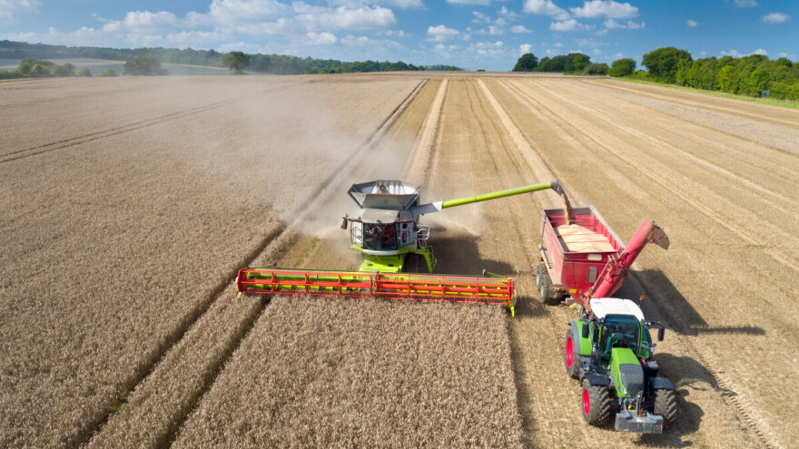 U Hrvatskoj je šest proizvođača kojima površine pod pšenicom prelaze 1.000 ha