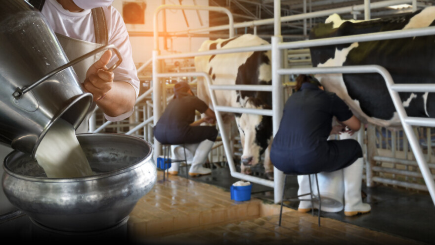 Nemačka beleži znatan pad otkupnih cena mleka, neizvesnost na tržištu sve veća