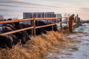 Stabilizacija vremena od petka: Mraz kratko, pa zatopljenje
