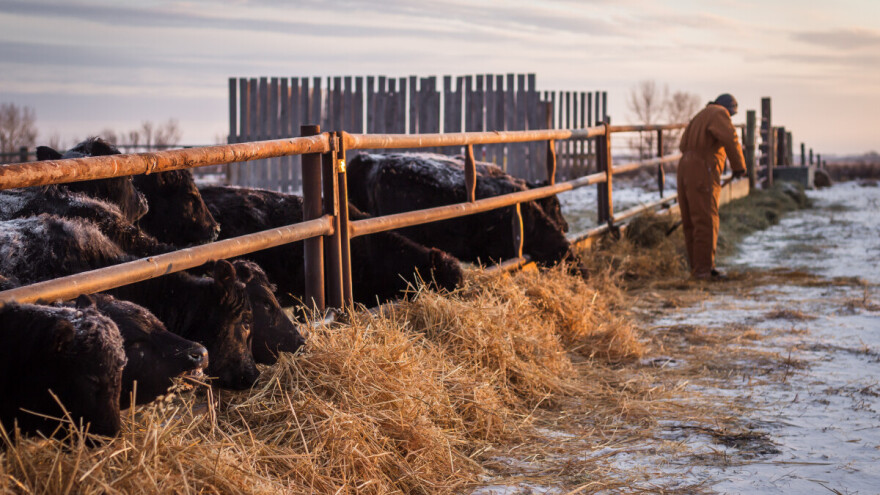 Neuobičajeno hladno za ovo doba godine: Samo najhrabriji će u njivu