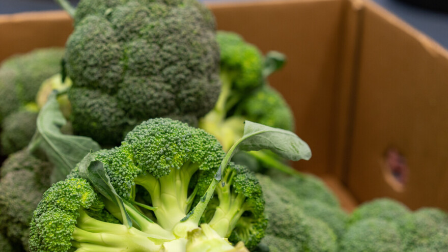 U brokoliju iz Srbije pronađen višak pesticida na hrvatskoj granici