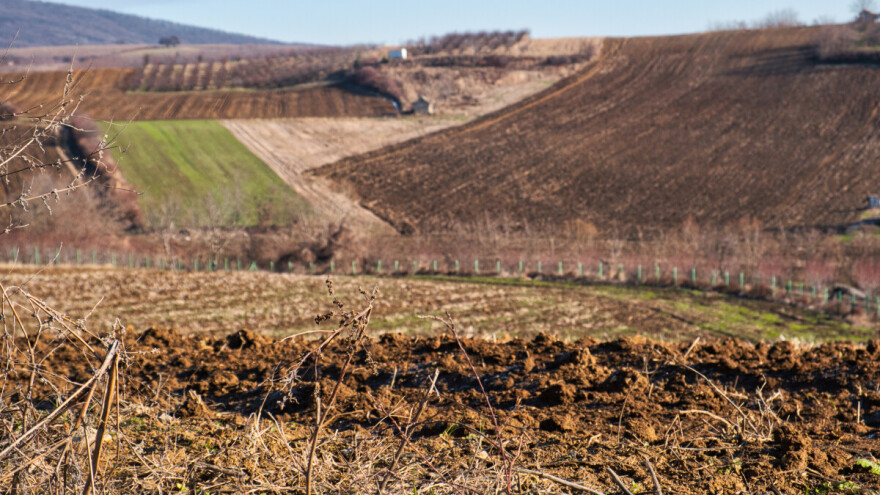 Stiže novo otopljenje, temperature i do 15 °C. Poželjan sneg za ozime useve