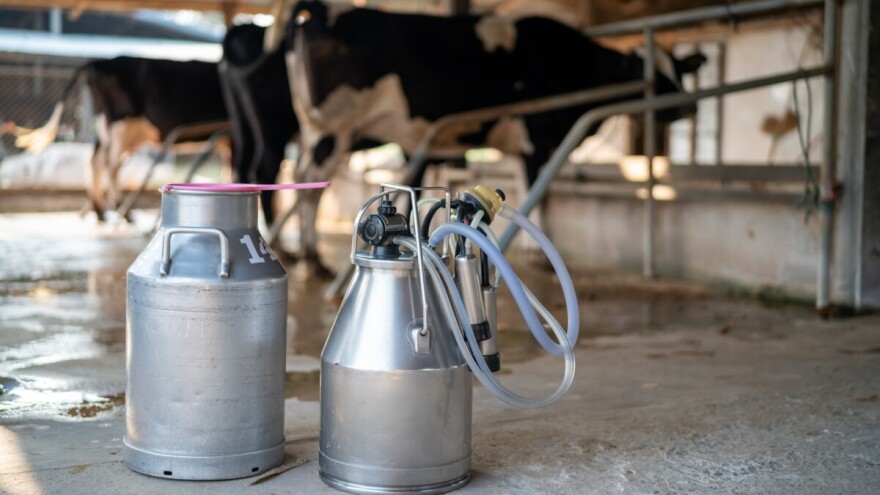 Ograničen otkup otvorio prostor za nakupce: Farmeri mlijeko daju samo da ne propadne