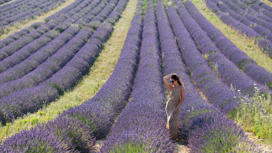 Svi bi fotku u lavandi: Invazija influenserica pokrenula i lavinu turista u španski gradić