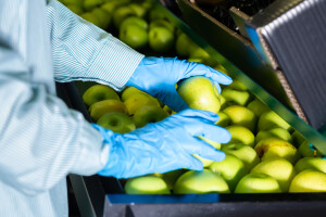 Vlada Srbije  utvrdila predloge zakona o službenim kontrolama i organskoj proizvodnji