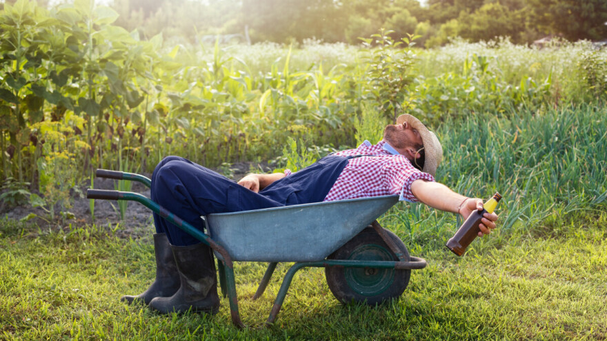 Dan poslije roštilja i čašice više: Kako "preživjeti" drugi svibnja?