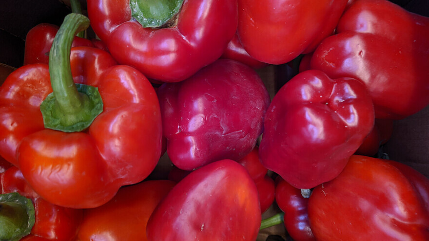 U crvenim paprikama iz BiH otkriven kancerogeni metal: Spriječen uvoz u Hrvatsku
