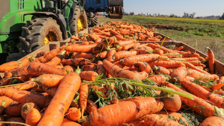 Podsticaji za proizvođače organske hrane. Ko može da se prijavi i do kada?