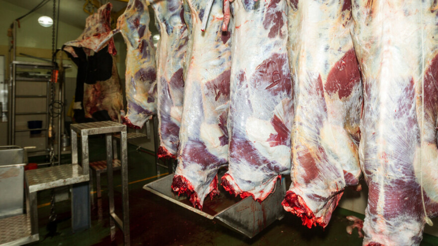 Rast klanja stoke i peradi u septembru: Najveći skok zabilježen kod svinja