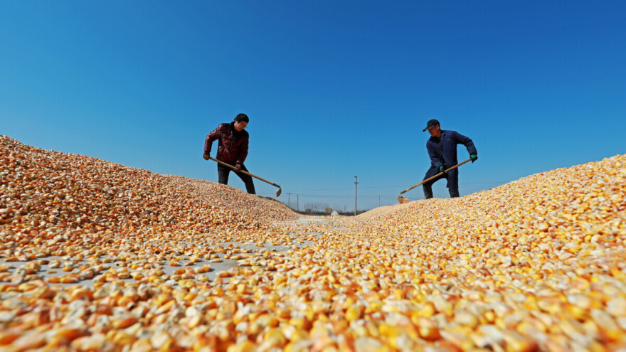 Kina previše ovisi o uvozu žitarica - donijeli zakon o prehrambenoj samodostatnosti
