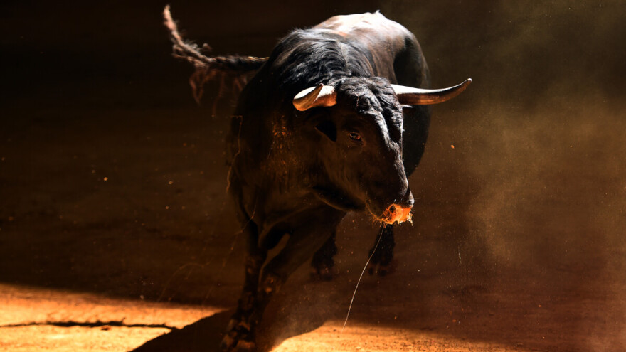 Tragedija na koridi: Bik usmrtio muškarca nakon borbe