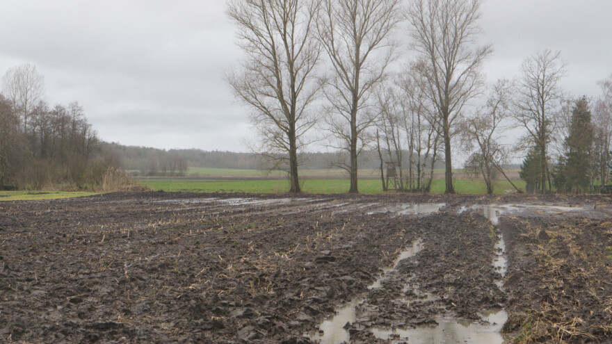 Uprava za indirektno oporezivanje BiH prodaje njivu