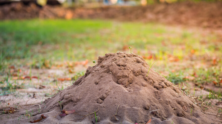 Suša ne prolazi, hoće li početak septembra donijeti promjene?