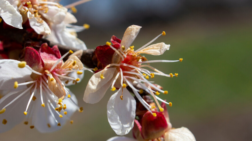 Agrometeorološki pregled i preporuke za naredni period
