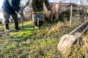 Revidirana Uredba EK: Poljoprivrednicima će biti lakše doći do malih potpora