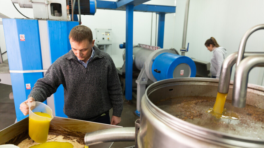 Španci traže da se stane na kraj lažnom maslinovom ulju: "Ćutimo već 40 godina"