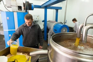 Španjolci traže da se stane na kraj lažnom maslinovom ulju: "Šutimo već 40 godina"