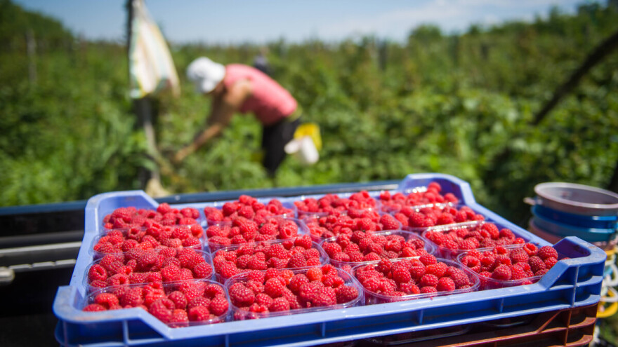 Voćari traže moratorijum na kredite, javna skladišta i formiranje fonda za interventne mere