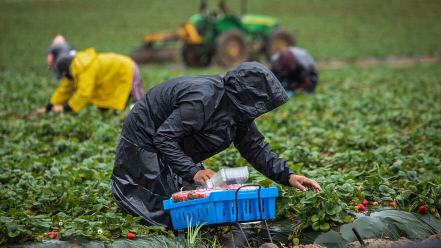 Kiša ne planira stati: Jače padavine u pet regija!