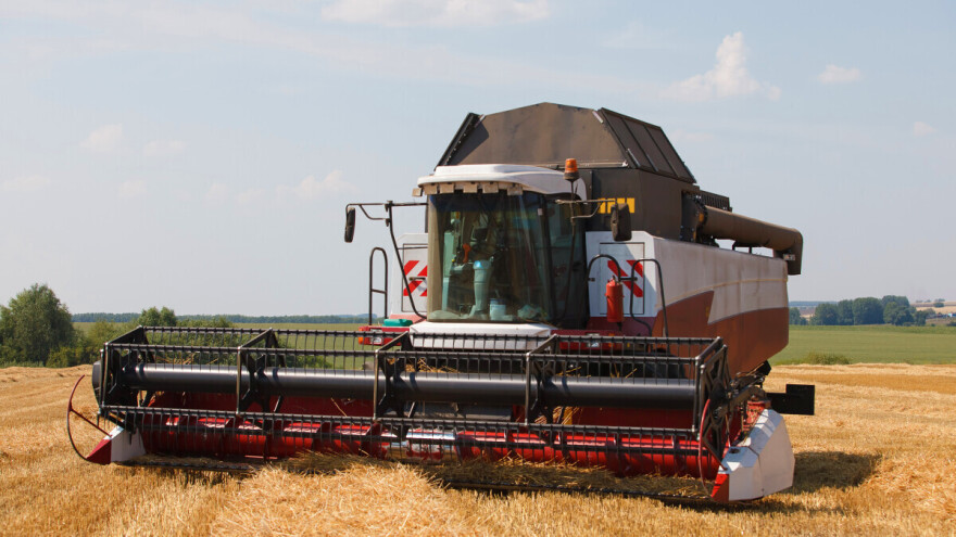 Rusija smanjuje površine pod pšenicom, odluka direktno utiče na globalno tržište