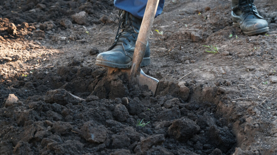 Šta se u oktobru radi u bašti? Evo pet nezaobilaznih aktivnosti
