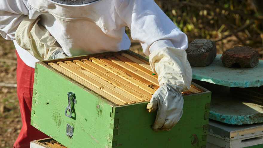 Europsko udruženje pčelara upozorava: Bez hitnih mjera ugrožena je održivost sektora