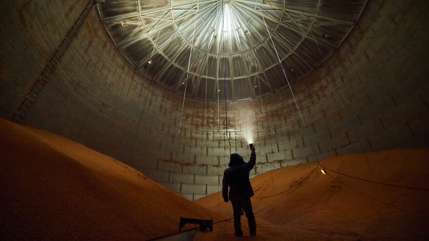 Koliko je pšenice proizvedeno u FBiH ove godine, veliki rast u odnosu na lani