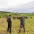 Farmer iz Glamoča u pola noći uhvatio lopove: Visočani pokušali ukrasti krave