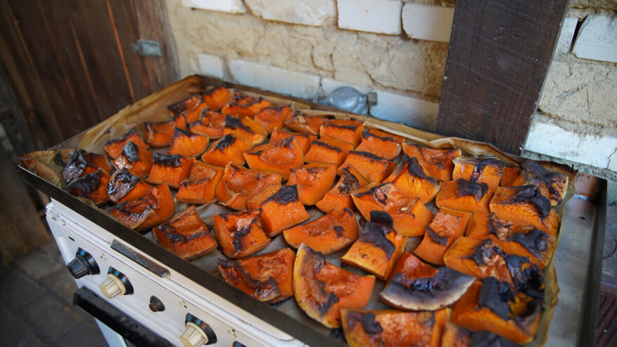 Bundeva ponovo osvaja kuhinje i jelovnike, evo zanimljivog recepta