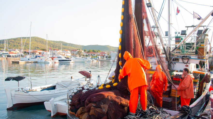 Stroža kontrola podrijetla ribe, nova pravila stupaju na snagu odmah