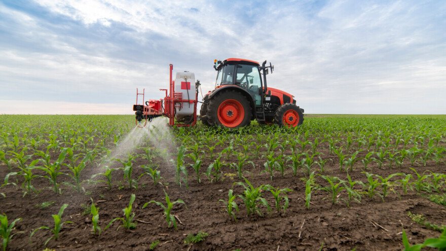 Kako da znamo da li je primena herbicida bila delotvorna?