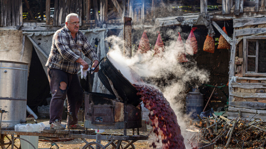 Velika potražnja za šljivama: Vesele mašine mirovat će u mnogim selima