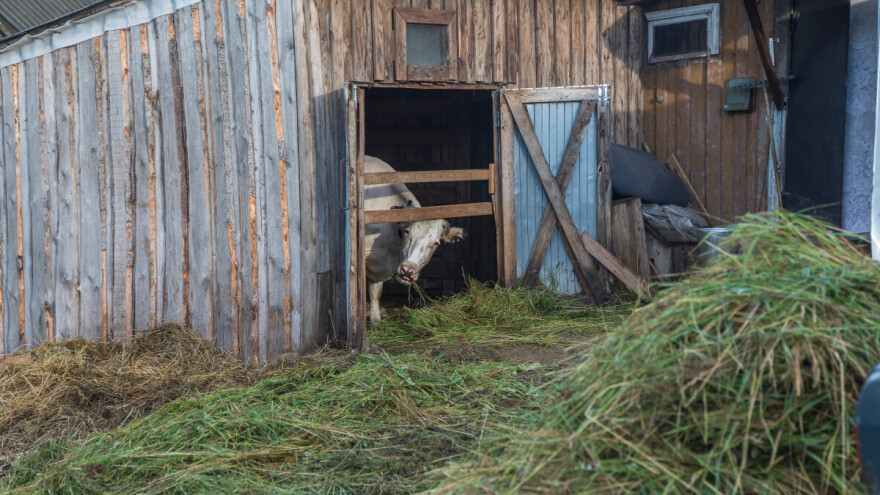Čas toplo, čas hladno: Stigla srednjoročna prognoza vremena