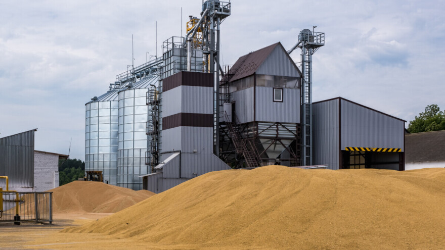 Uprkos američkim carinama, žitarice i uljarice pokazuju neočekivanu otpornost?