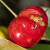 Sredozemna voćna muha prijeti - obavezne su mjere higijene voćnjaka