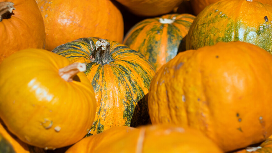 "Dani ludaje" od 19. do 22. septembra u Kikindi