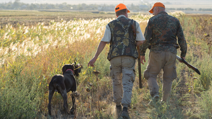 Šta se krije u šumi: Više lovaca nego nekoliko vrsta divljači zajedno