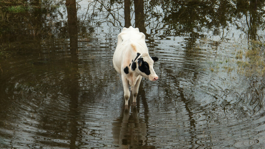 Upozoreno na poplave u nekoliko regija: Odmah poduzeti mjere zaštite