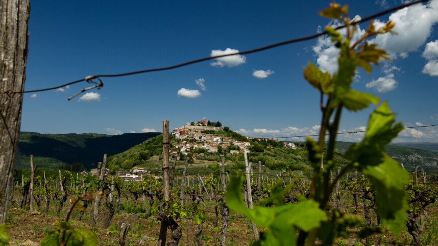 Terran Wine & Walk - kombinacija aktivnog odmora, prirodnih ljepota i vrhunskih vina