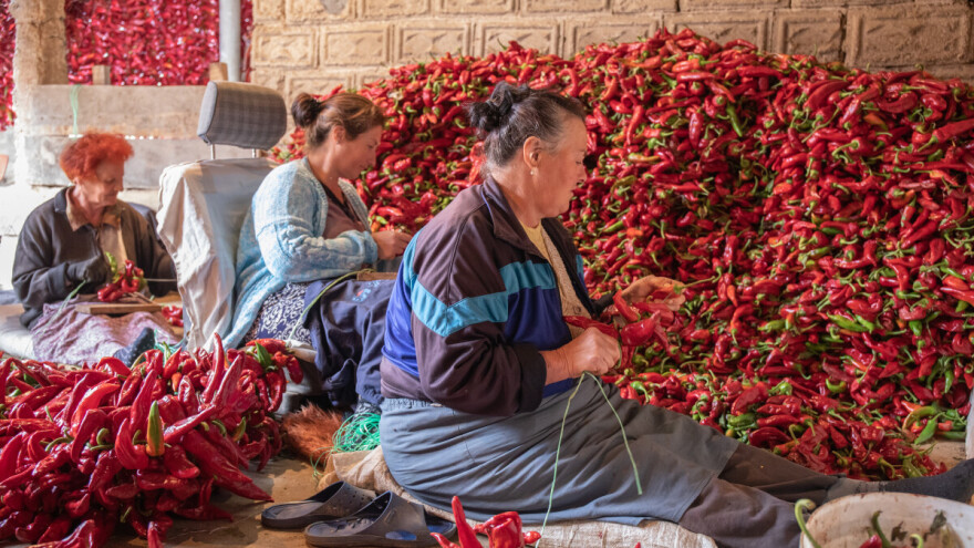 Međunarodni je dan žena na selu - sa kojim se izazovima danas suočavaju?