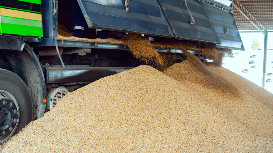 Najveći udeo u trgovanju zauzeo stočni ječam, činio 36 odsto nedeljnog prometa