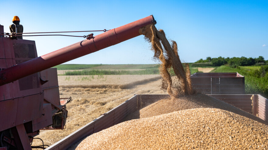 Do kada će biti isplaćeno 10 miliona KM direktne podrške za proizvodnju pšenice?