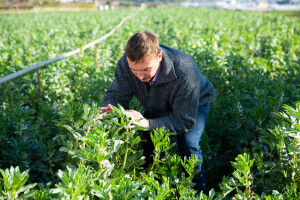 Hoće li neki mladi opet ostati kratkih rukava?