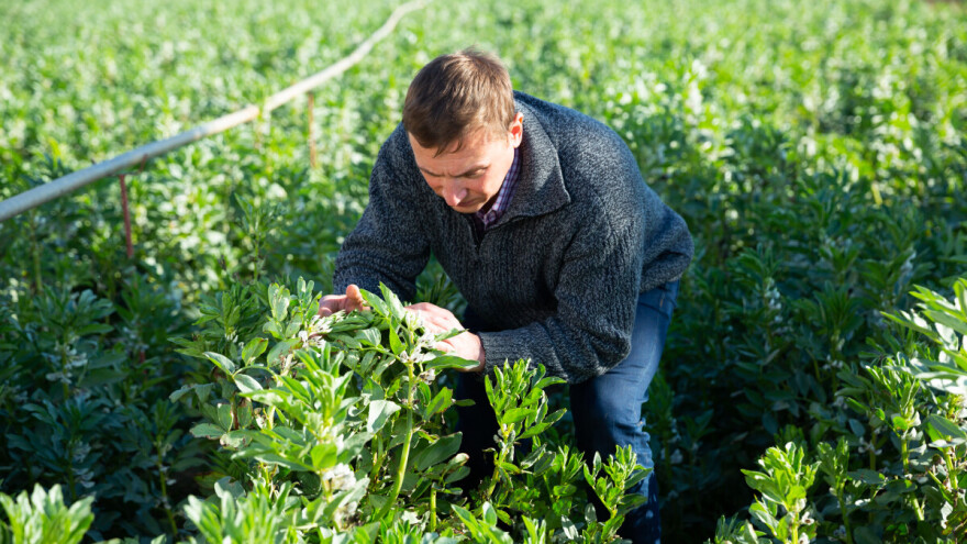Hoće li neki mladi opet ostati kratkih rukava?