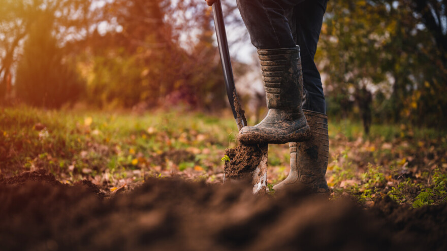Jaka suša u delovima severne Srbije, a u ostalim krajevima?