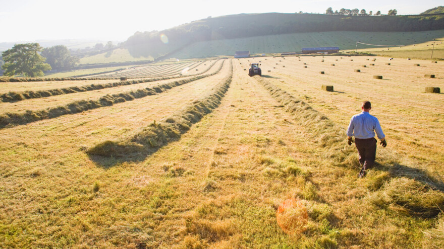 Dobra godina za sijeno, loša za cijenu: Bale padaju ispod 4 KM
